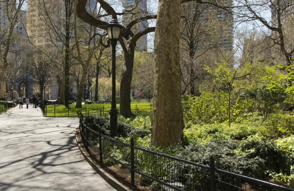 동네 환경 이미지