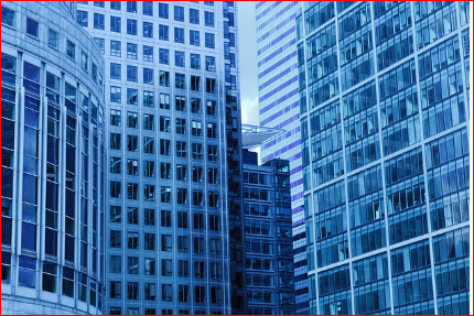 공동체 문화와 소셜 네트워크