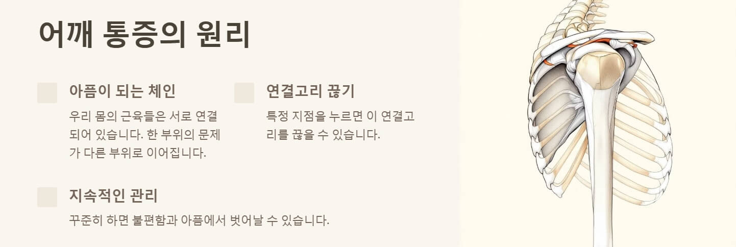 어깨 통증 8초만에 잡는법