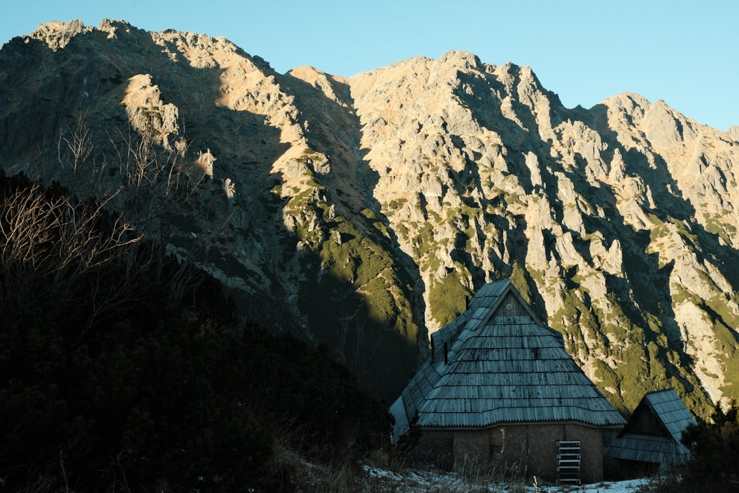 Rural housing