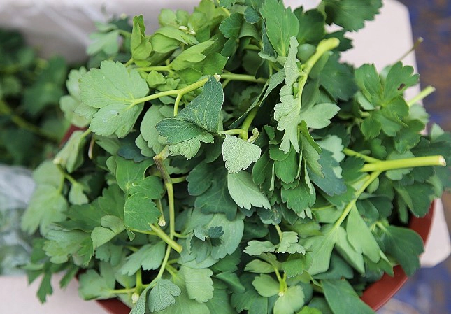 방풍나물 무침 황금 레시피 요리법 및 방풍나물 효능