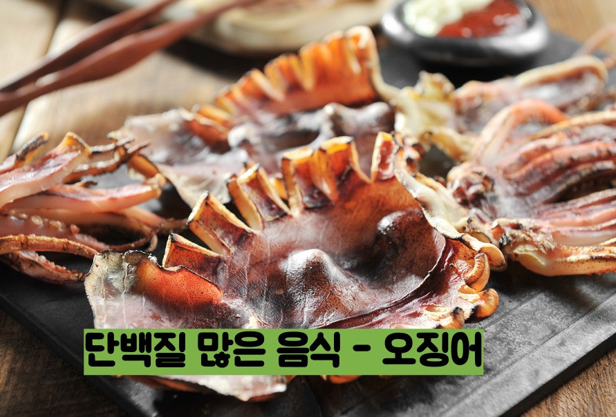 단백질 많은 음식