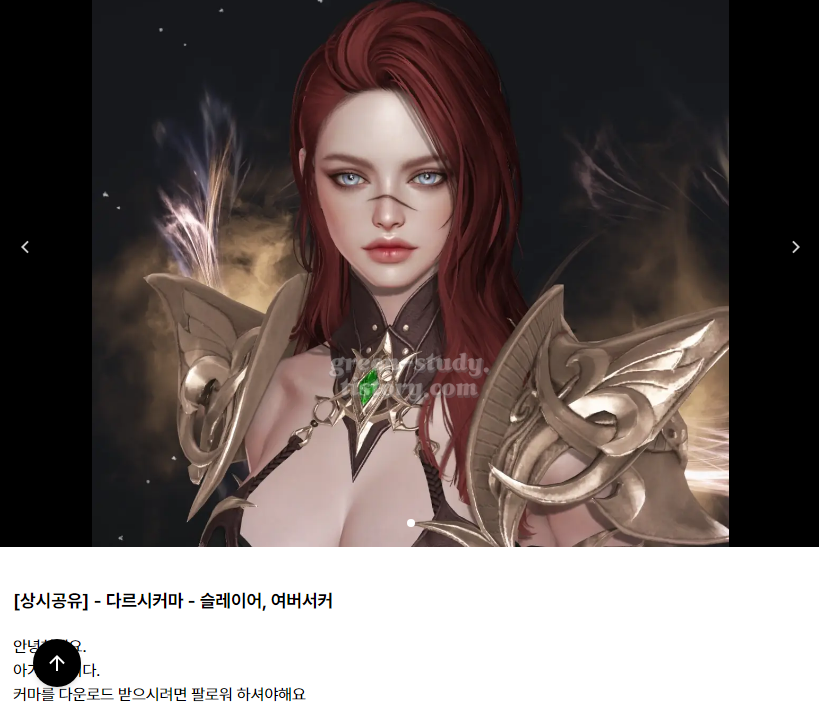 로아 커스터마이징 방법_1.webp