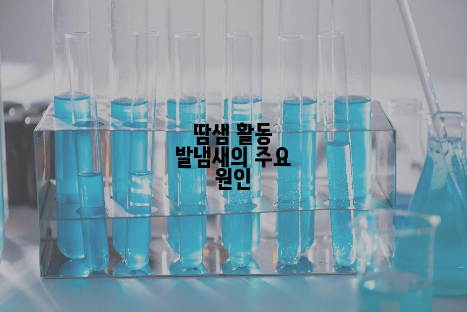 땀샘 활동 발냄새의 주요 원인