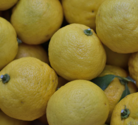 🍋 유자 머랭 쿠키 — 전통 향이 살아있는 상큼한 디저트