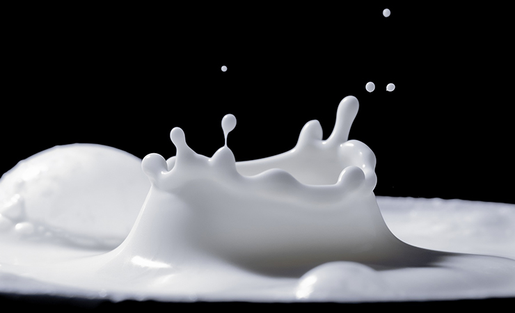 우유 유당불내증 증상 유당불내증 대체우유