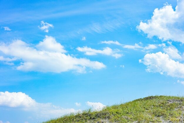 맑은날 이미지2