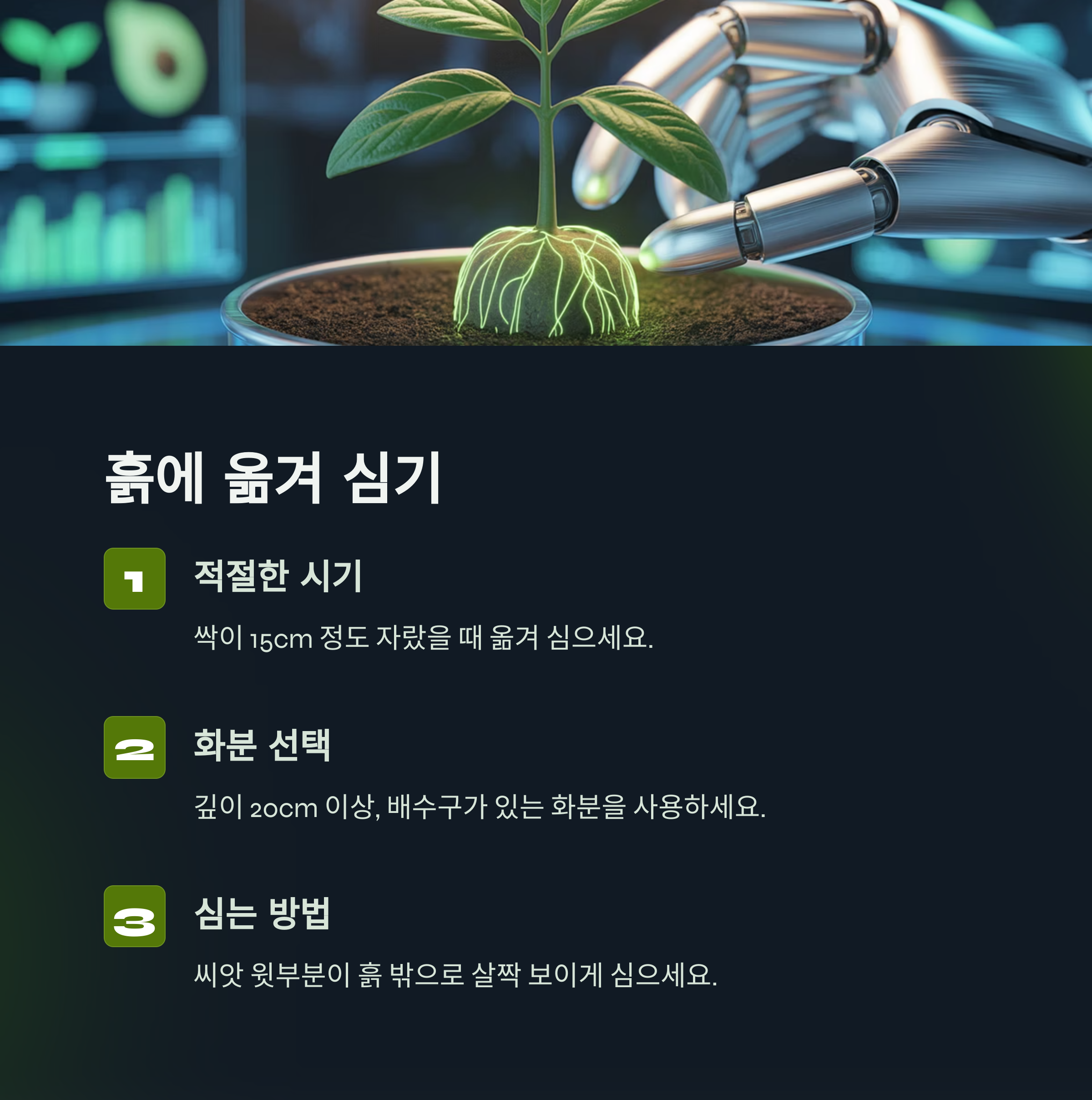 2단계: 흙에 옮겨 심기, 분갈이 시기와 요령