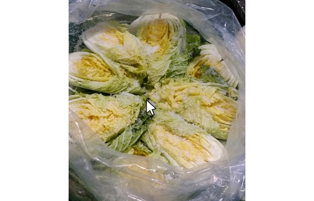 배추빠르게절이기