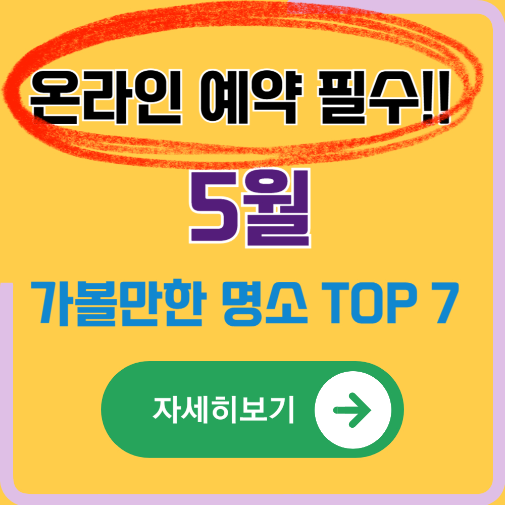 온라인 예약 필수! 5월에 꼭 가봐야 할 국내 명소 TOP 7