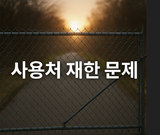 현재 사용처 제한 문제와 개선 필요성