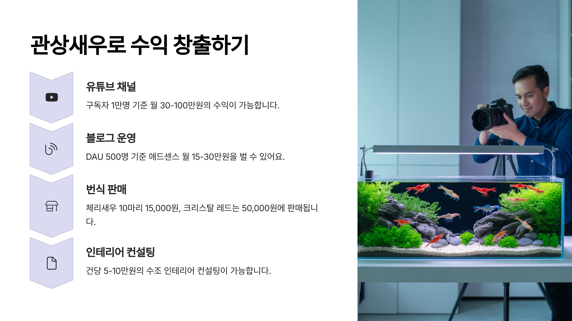관상새우 키우기로 월 수익 내는 블로거 사례보기