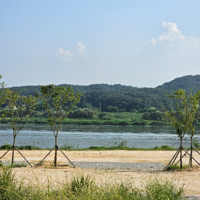 강천섬_캠핑장_사이트