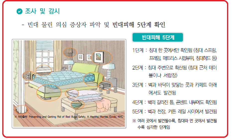 빈대발견방법