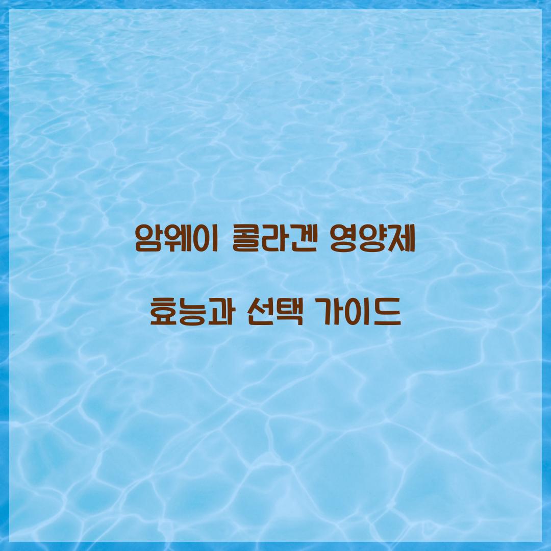 암웨이 콜라겐 영양제