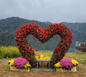 5월 강추 꽃 축제