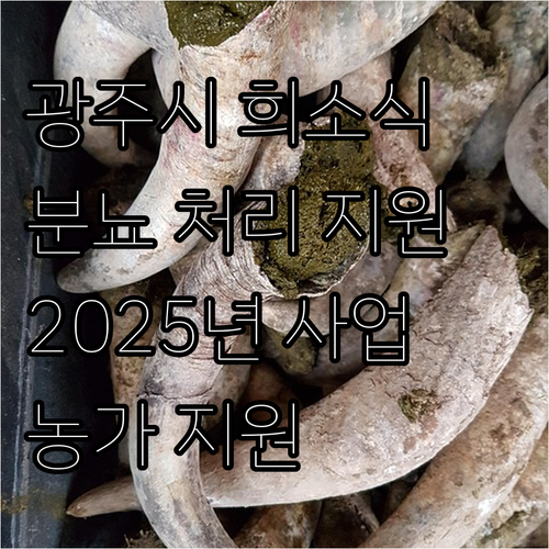 광주시 축산 농가 희소식 2025 다..