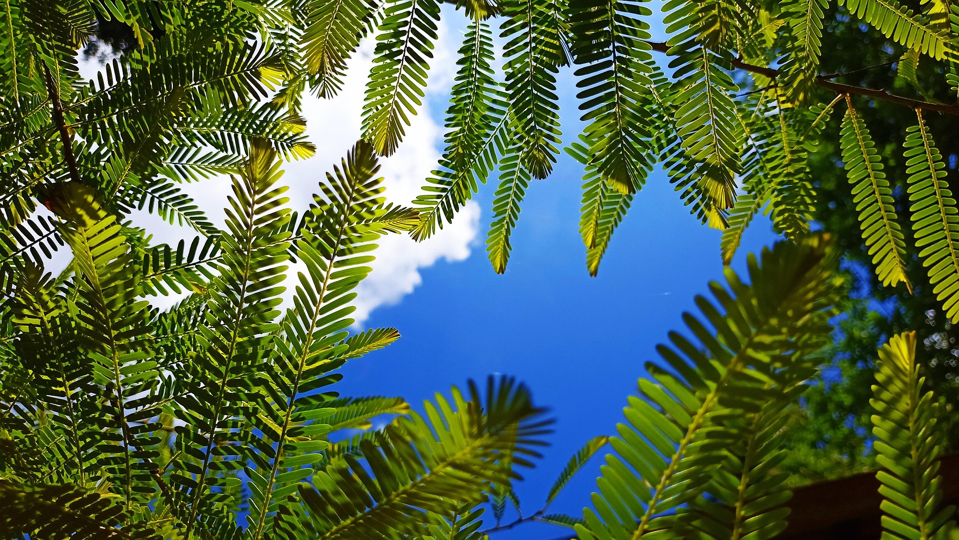 호흡 운동이 몸 전체를 살린다.