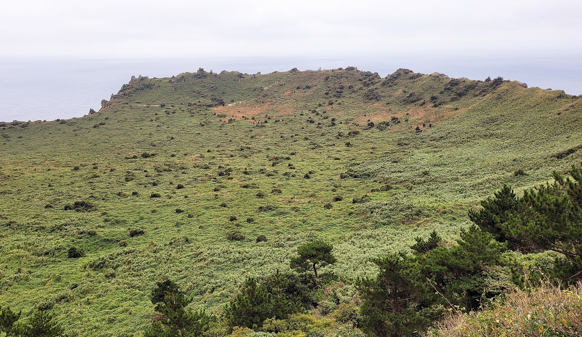 Grass-covered crater floor seen from the summit of Seongsan Ilchulbong
