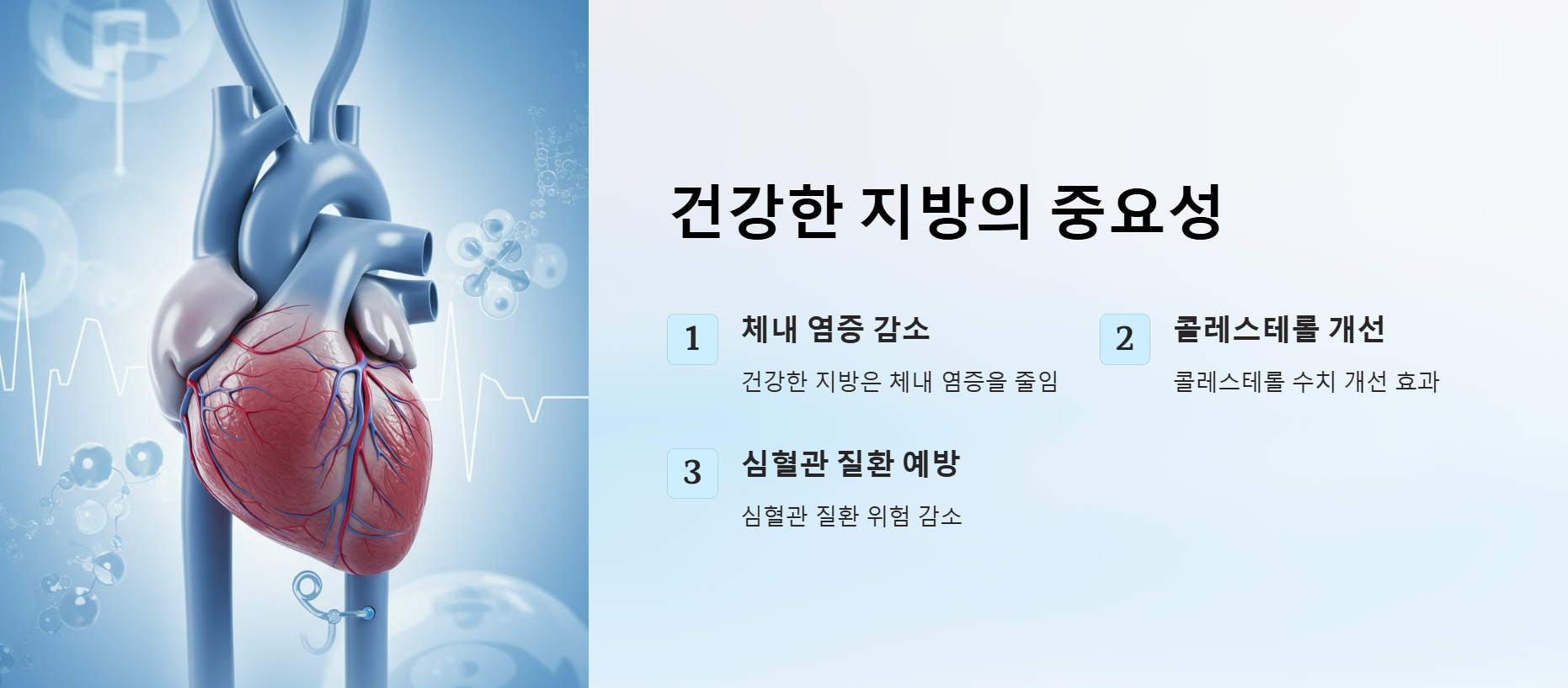 건강한 지방의 중요성