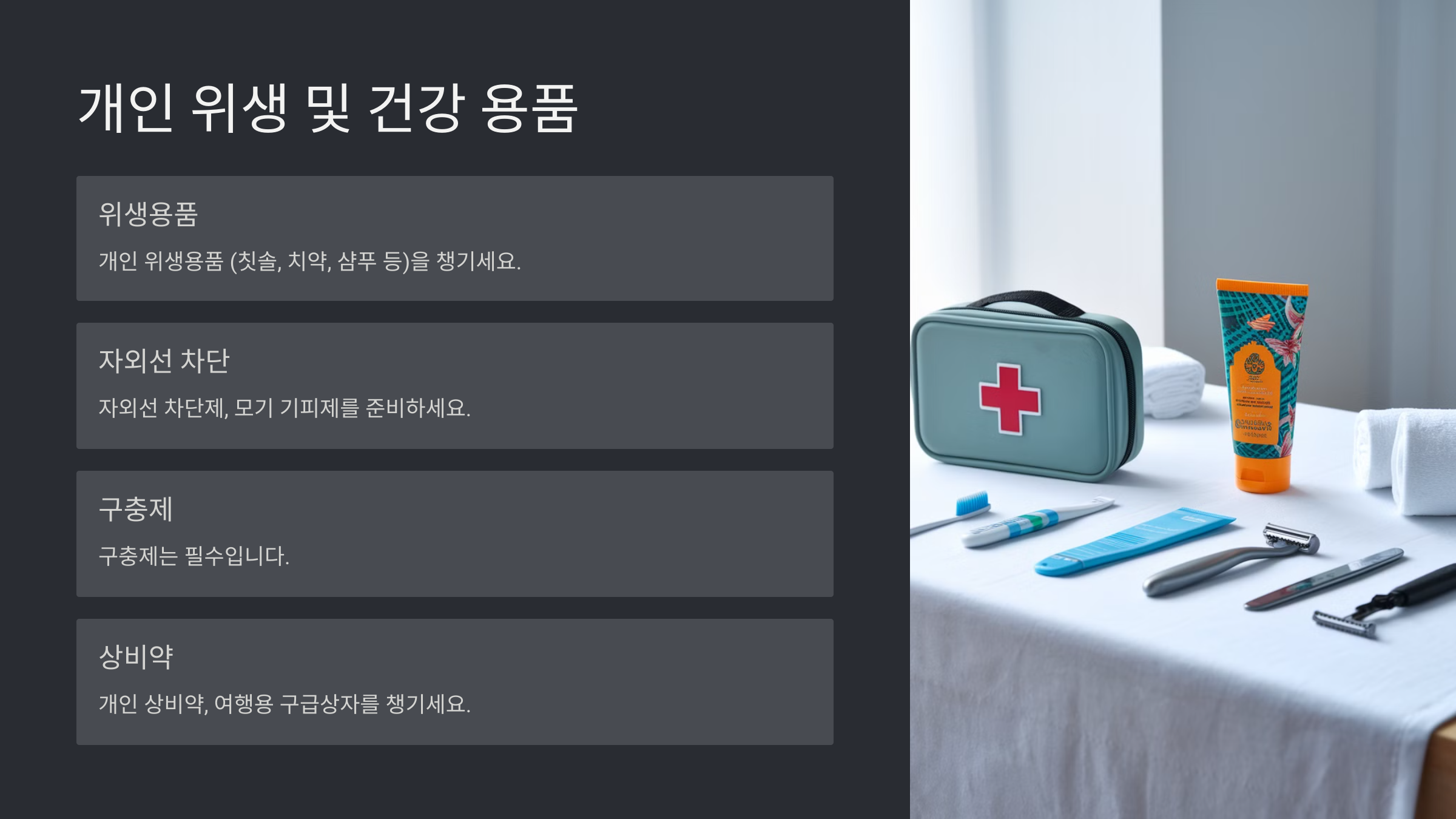 베트남 여행 준비물