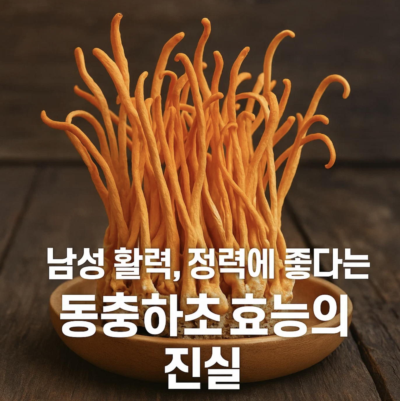 남성 활력, 정력에 좋다는 동충하초효능의 진실
