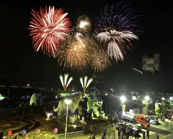 마산 가고파 국화축제_10