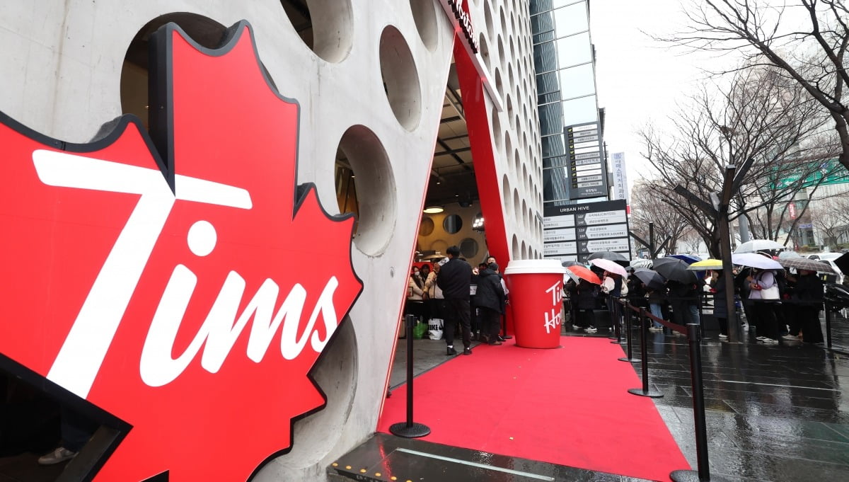 팀홀튼 신논현점