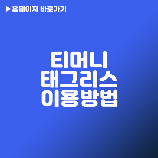 티머니 태그리스 지하철