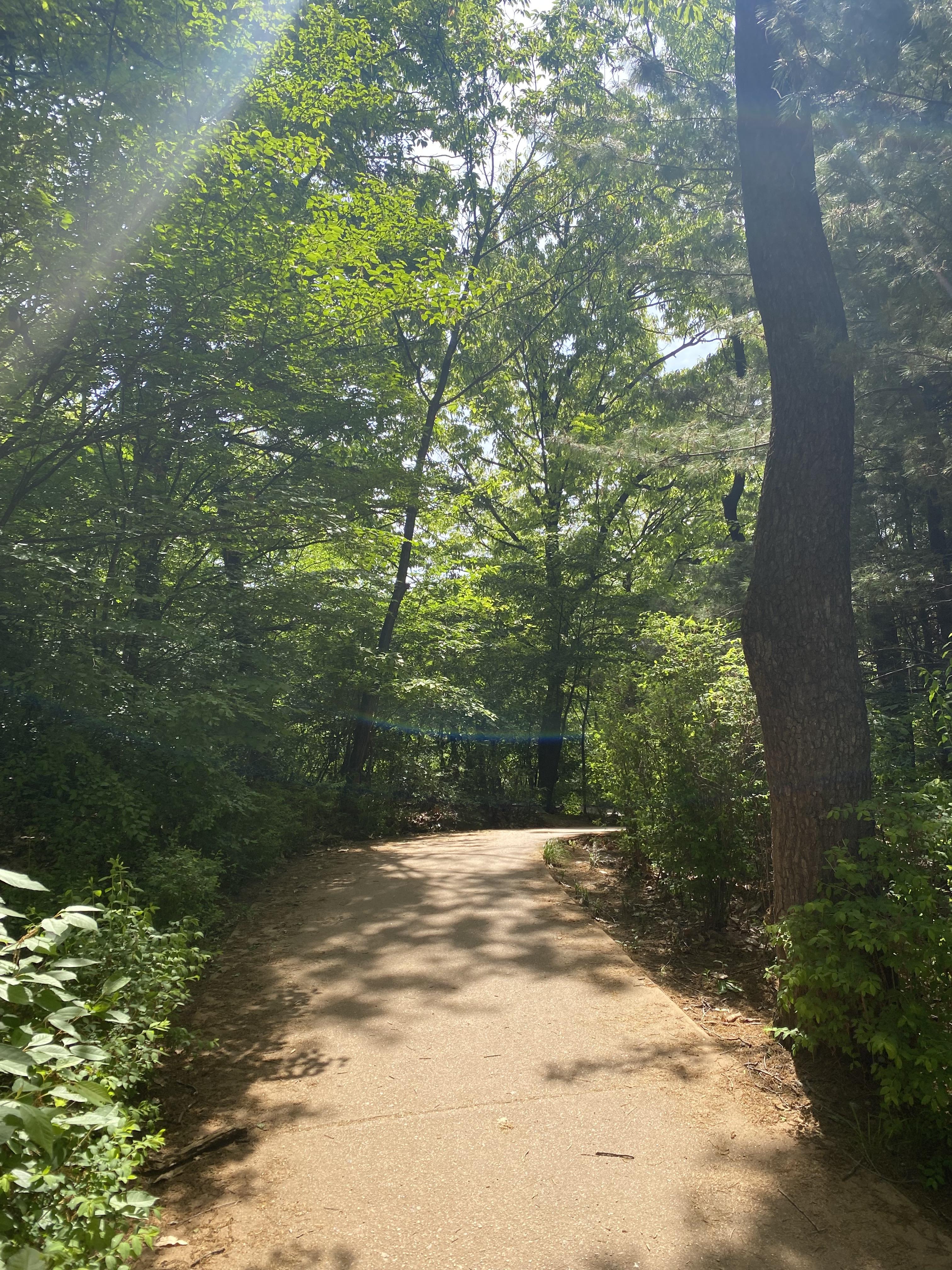 Alt 속성 문제 해결 설명 이미지