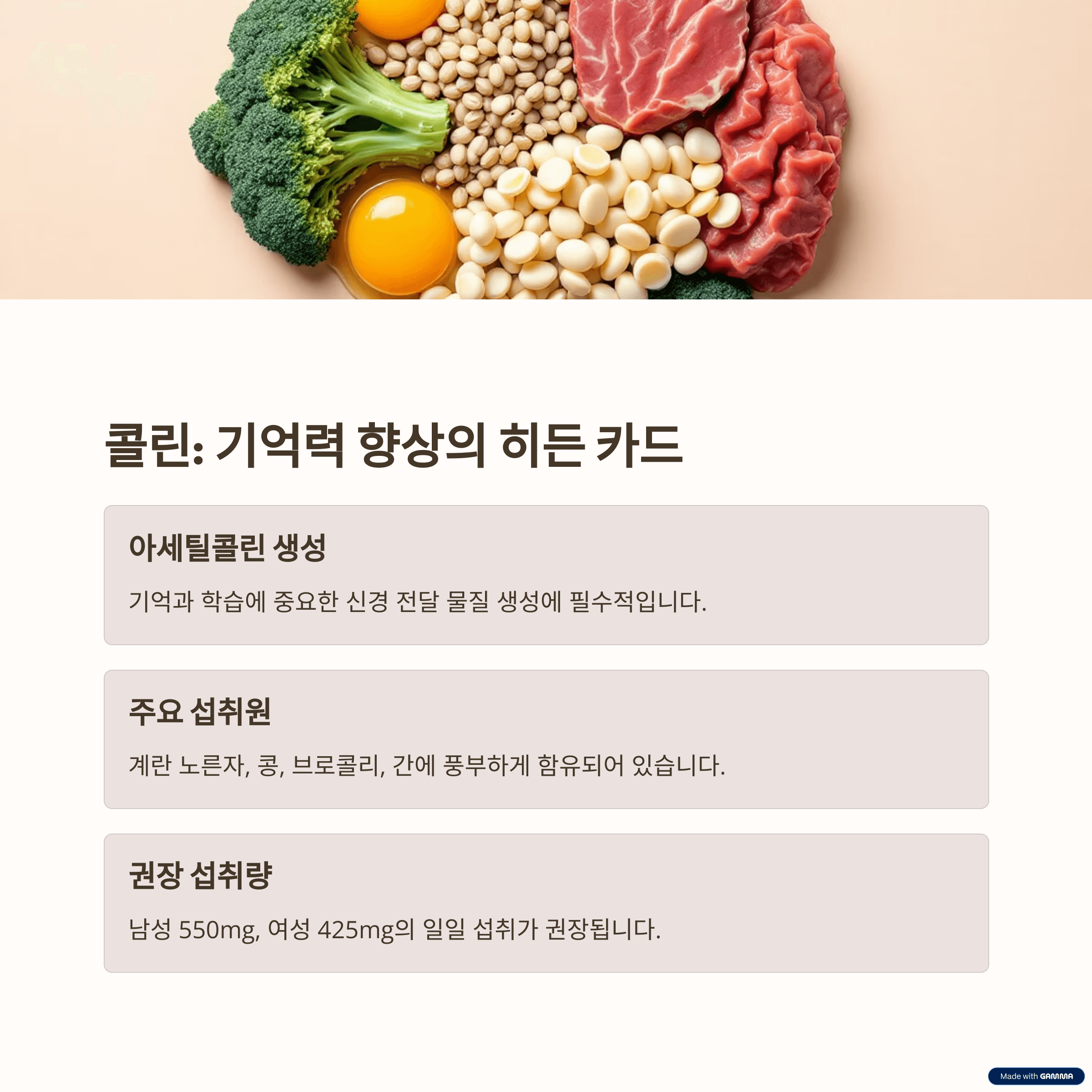 콜린: 기억력 향상의 히든 카드