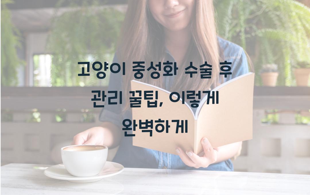 고양이 중성화 수술 후 관리 꿀팁