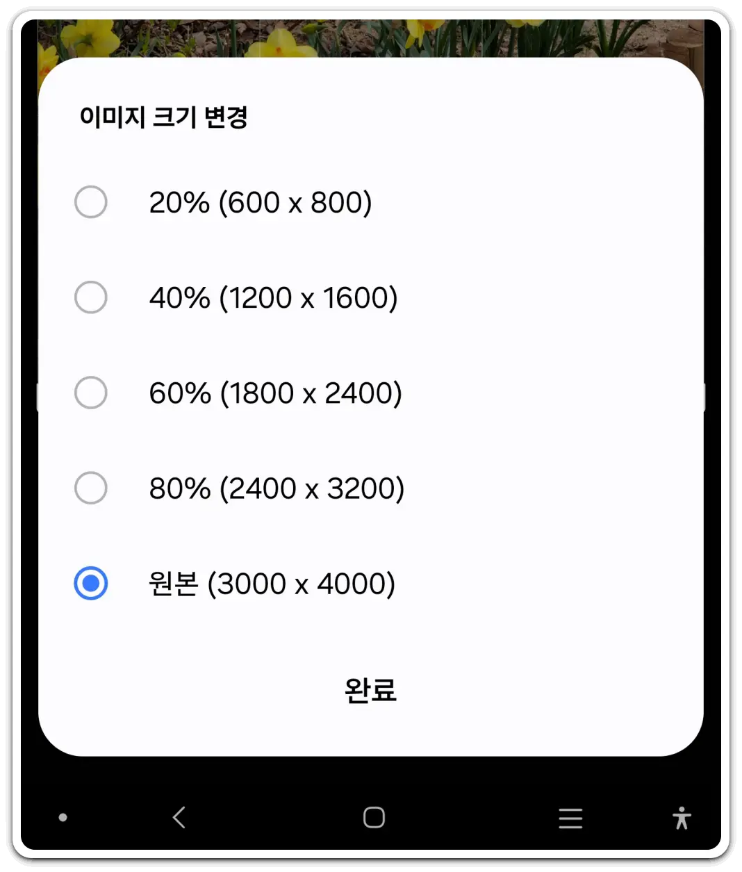 사진-이미지-파일-용량-줄이는-방법