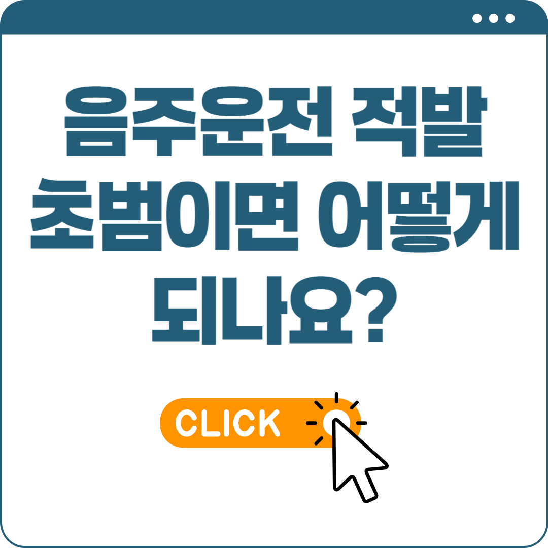 음주운전 초범 벌금