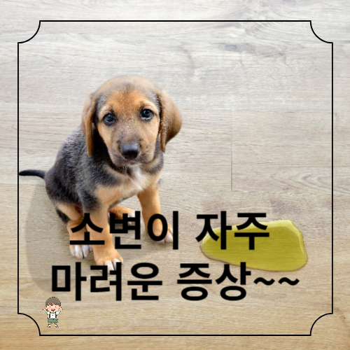 소변이 자주 마려운 증상