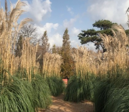 태안 청산수목원 여행지