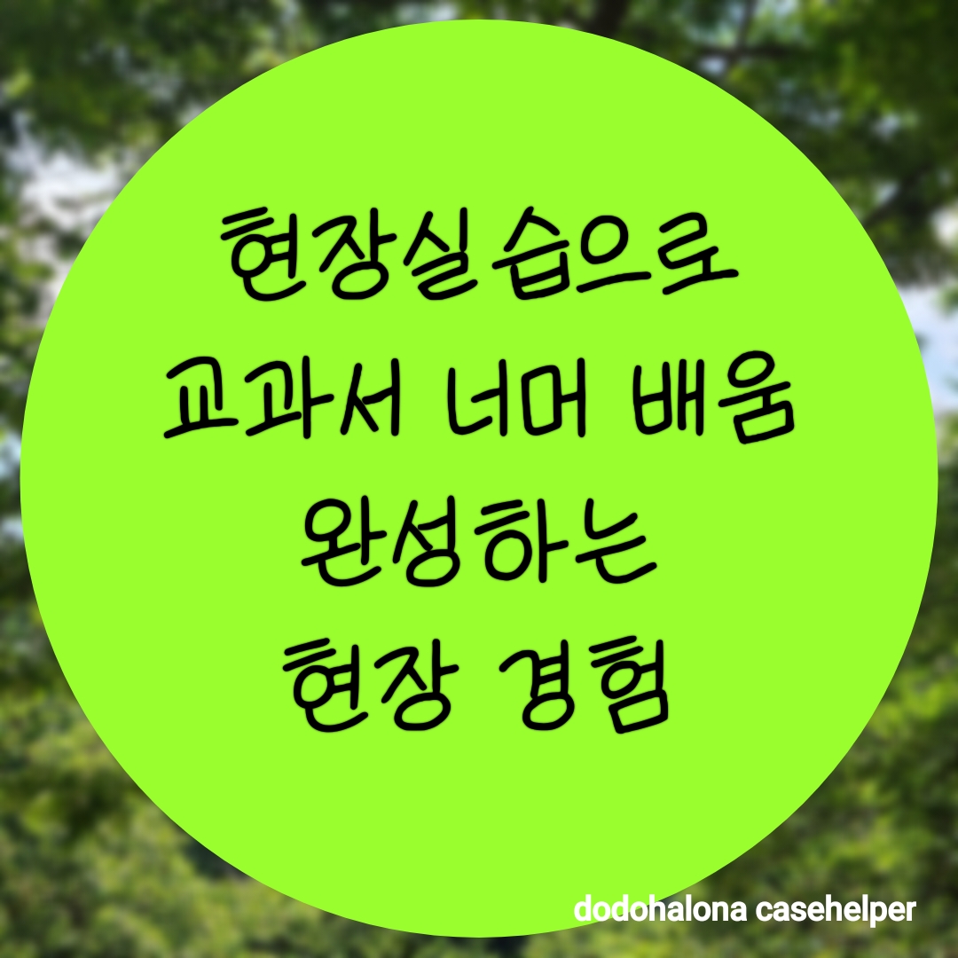 현장실습으로 교과서 너머의 배움을 완성하는 현장 경험