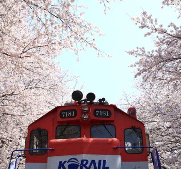 진해 가볼만한곳 베스트10