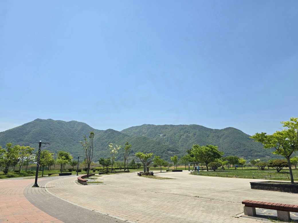 푸른 하늘 아래 한적한 공원