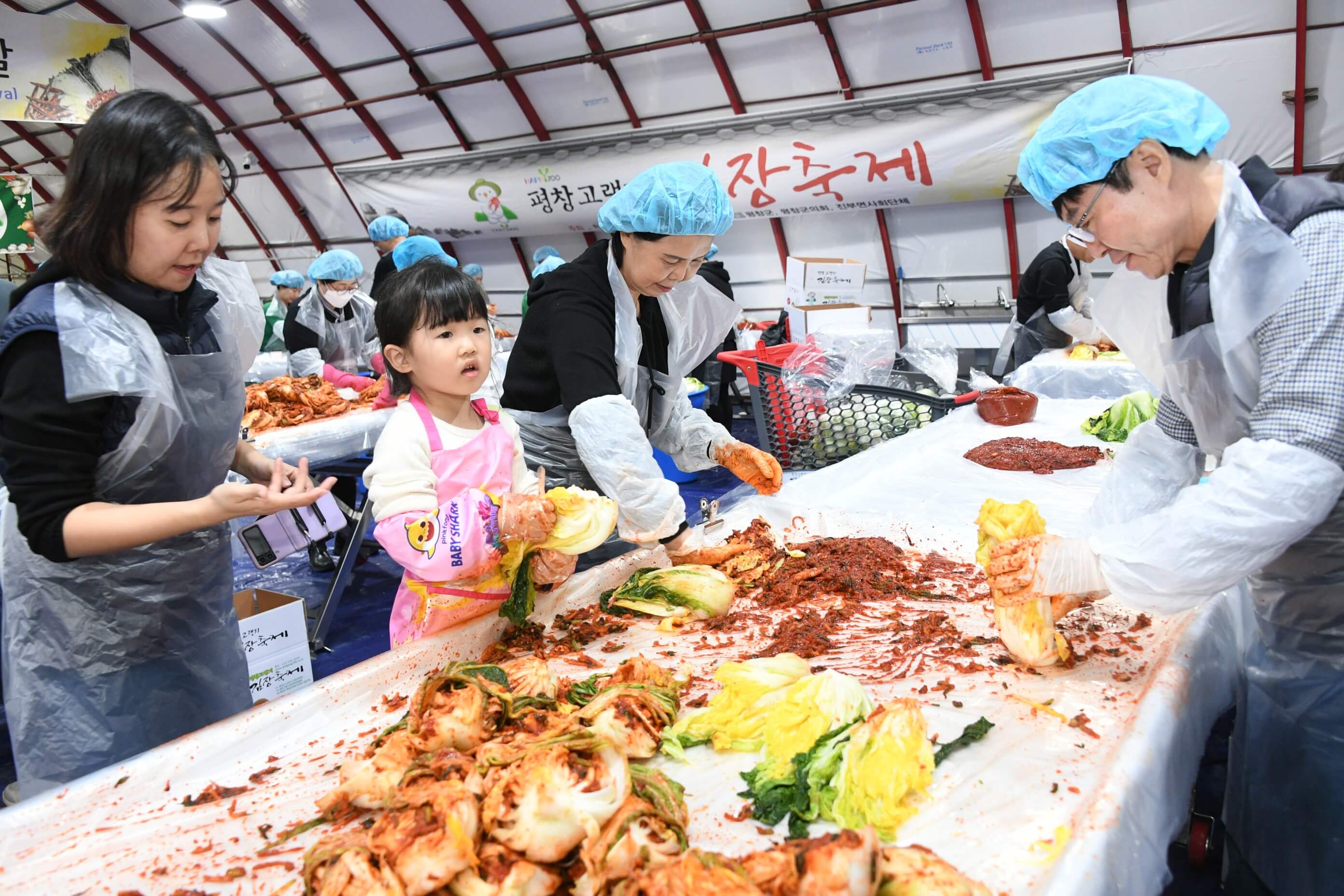 평창 고랭지 김장축제