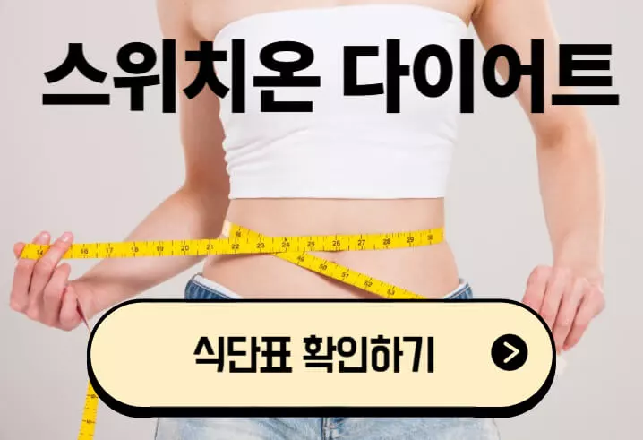 스위치온 다이어트 식단 식단표