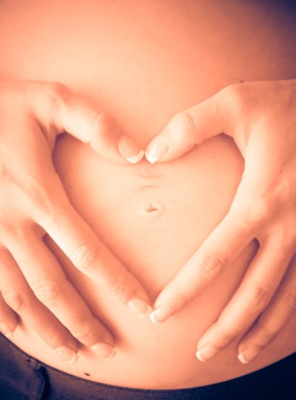 영양플러스 사업