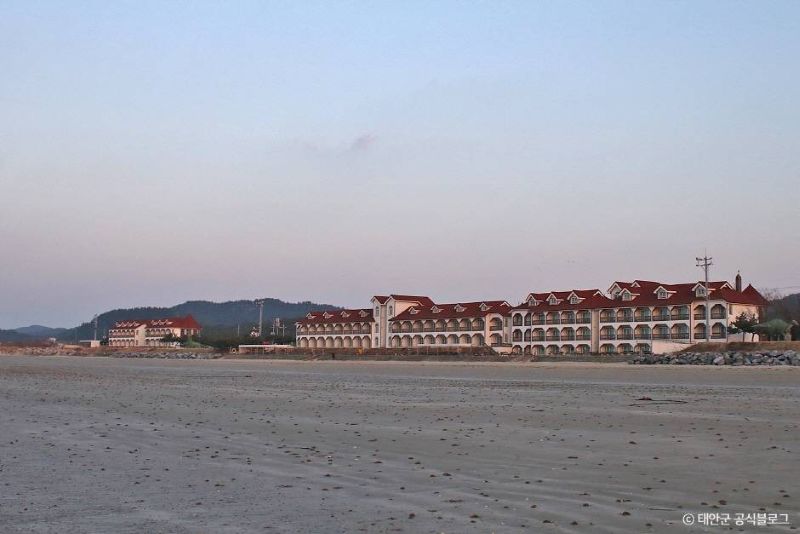 태안_신두리해수욕장 (2)