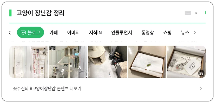 고양이 장난감 정리_1_subsection