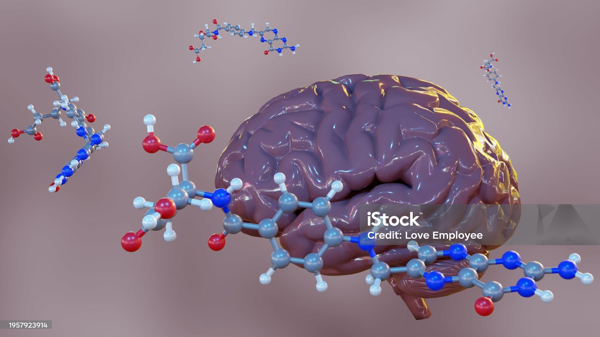 엽산과-뇌-관련-사진
