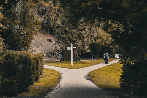 매일성경 아침묵상 누가복음 13:22-35 갈림 길