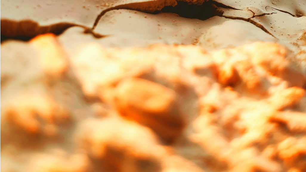 사막화가 환경에 미치는 영향