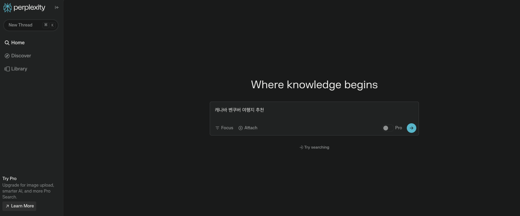 Perplexity.AI 검색 화면