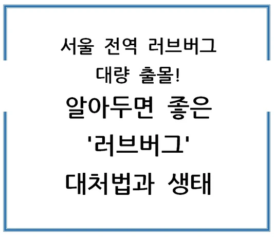 서울-전역-러브버그-대량-출몰-알아두면-좋은-러브버그-대처법과-생태