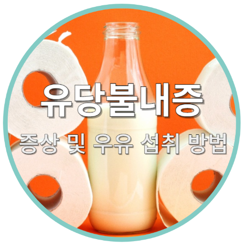 유당불내증